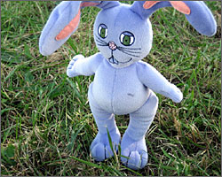 Maurice